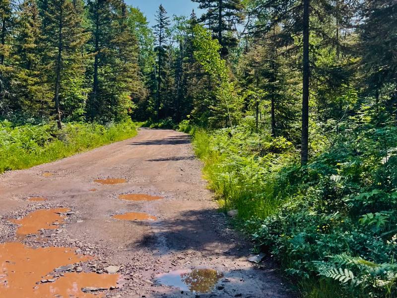 The road to Horseshoe Beach in Copper Harbor