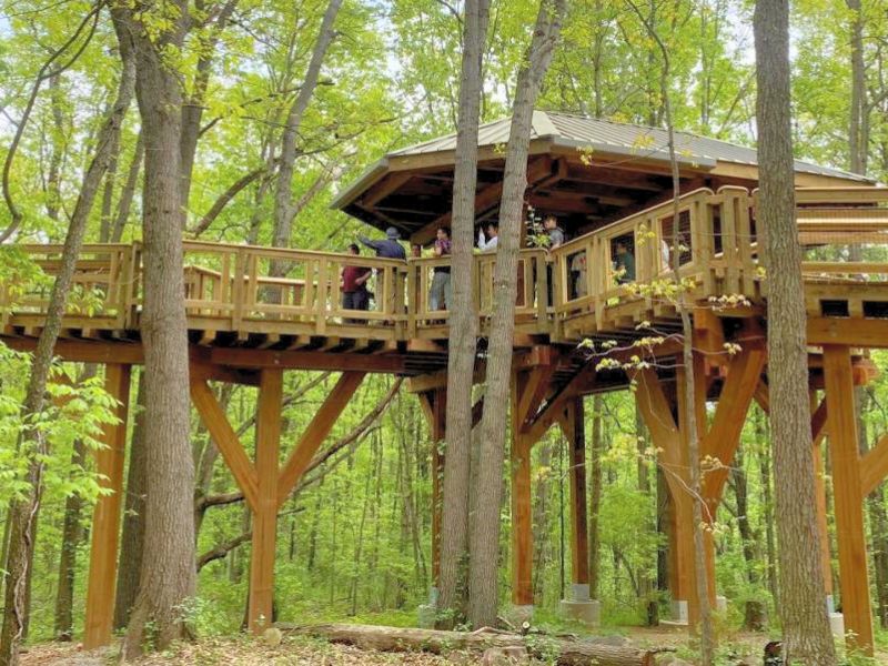 MSU-Canopy-Walk-at-Hidden-Lakes-Gardens-Michigan-photo-MSU-FB-page