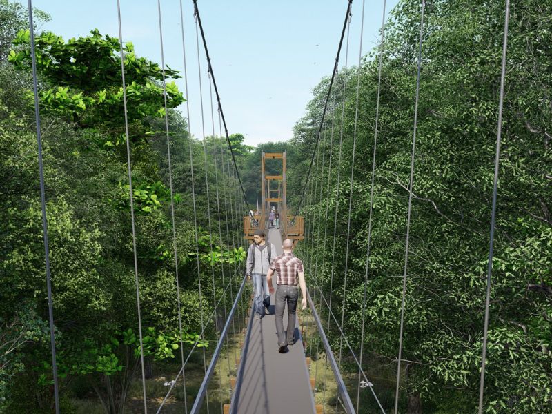 MSU-Canopy-Walk-at-Hidden-Lakes-Gardens-Michigan-rendering-from-Facebook.