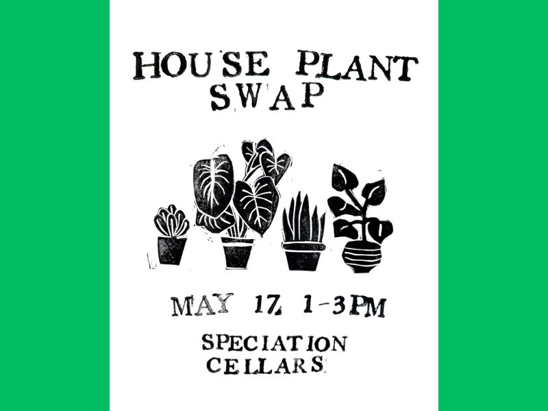 Speciation Cellars House Plant Swap webpage