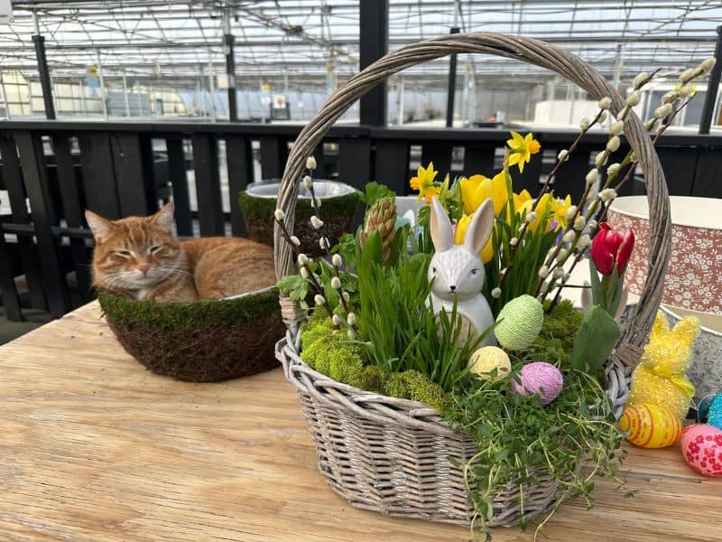 Submission Koetsier's Easter Bulb Basket Workshop (1)