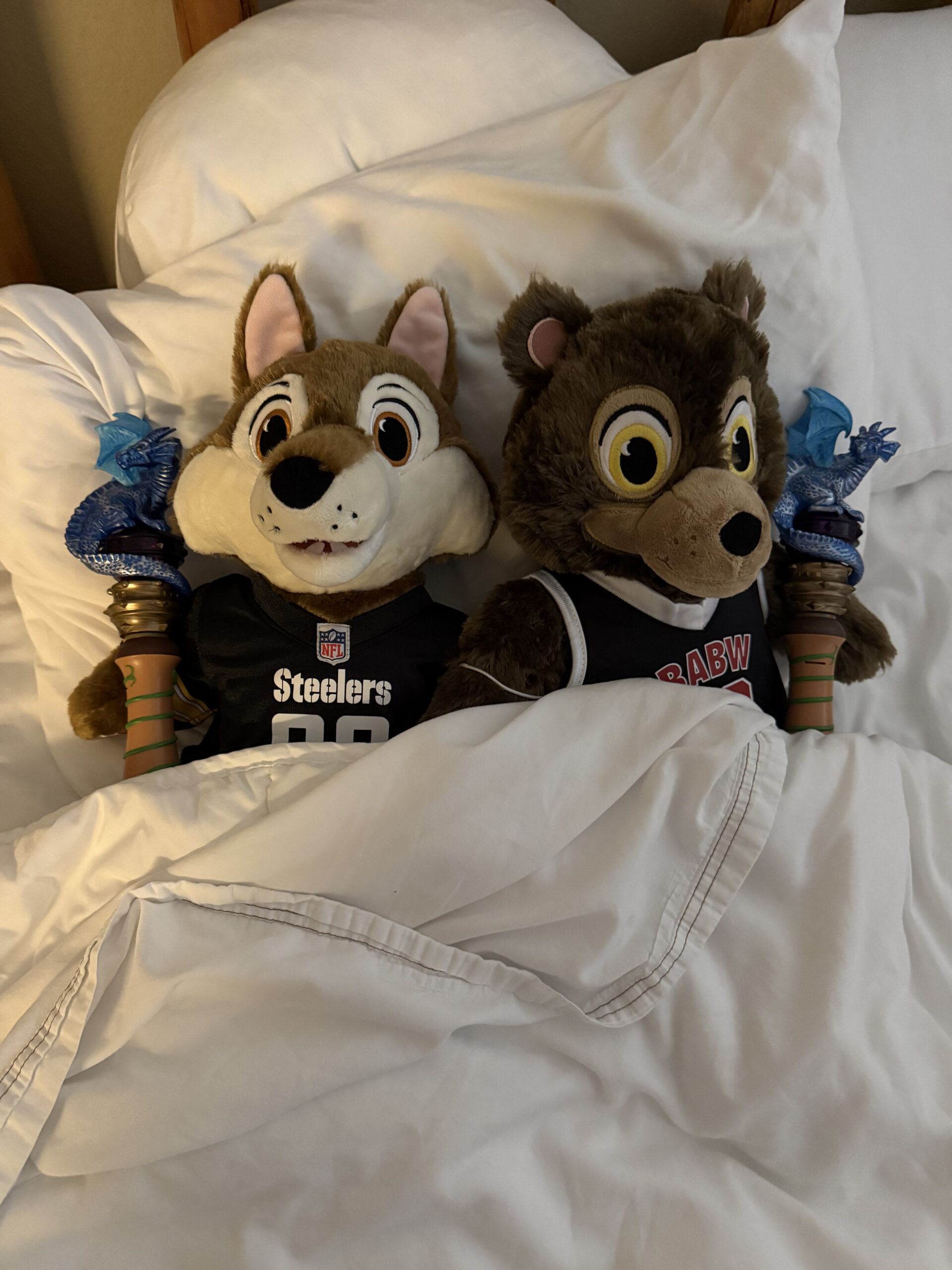 great wolf lodge sandusky merch - dentler