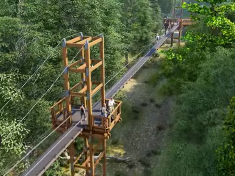 msu-hidden-lake-gardens-canopy-walk