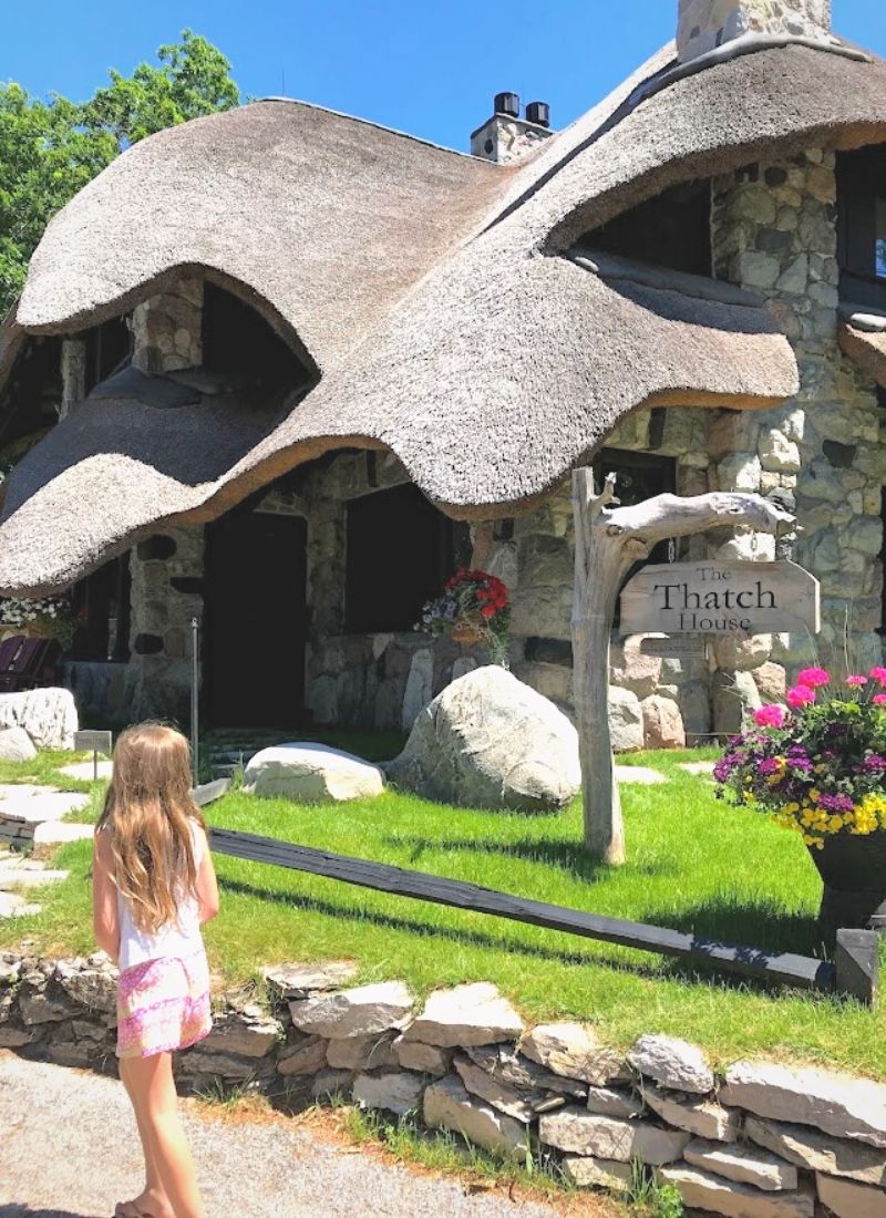 mushroom-houses-charlevoix-michigan