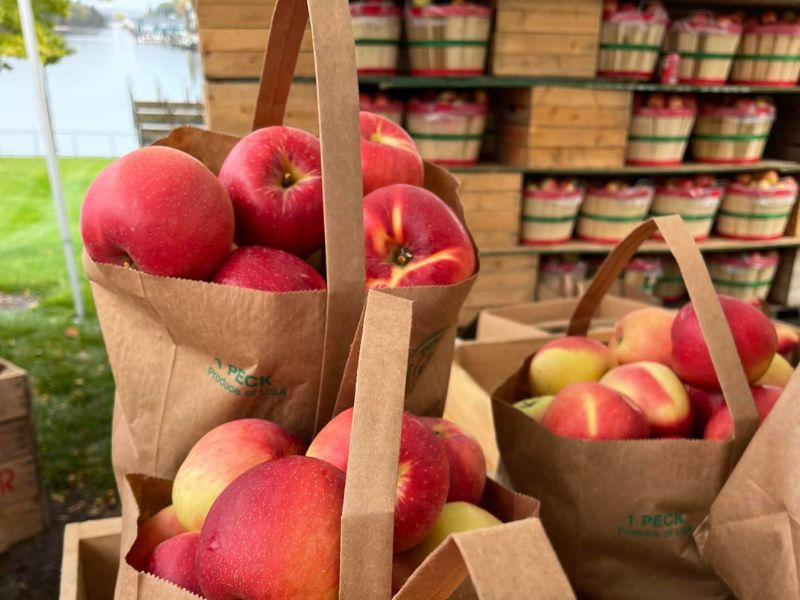 Apple Fest Charlevoix FB