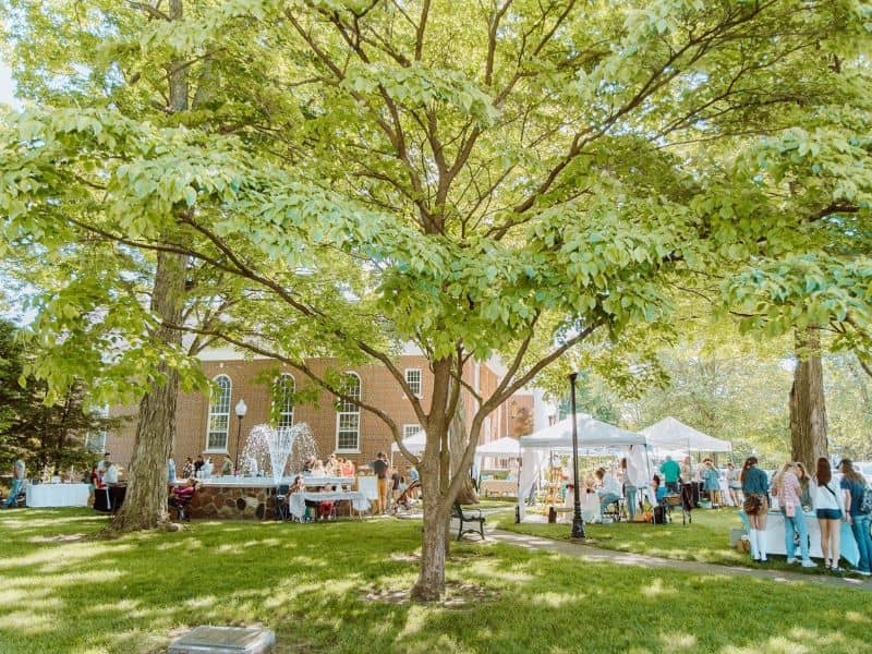 City Of Zeelands Spring Peddlers Market Webpage