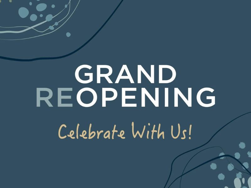 Cocoon Art Space Grand Reopening Webpage