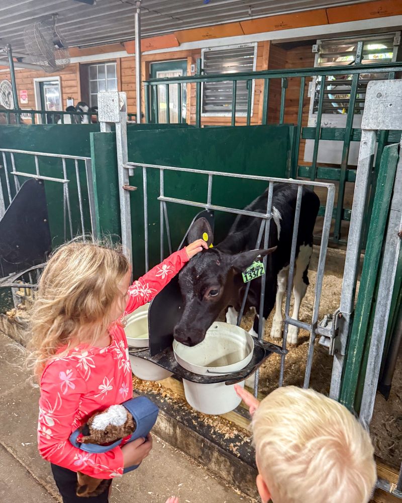 Country Dairy Farm Tour New Era - FB