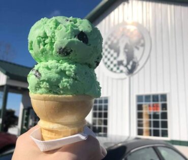 Country Dairy Ice Cream New Era - FB