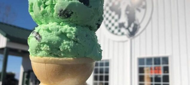 Country Dairy Ice Cream New Era - FB