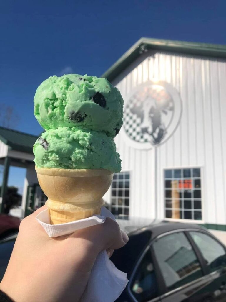 Country Dairy Ice Cream New Era - FB
