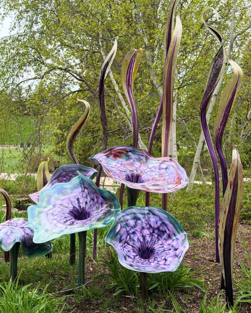Dale Chihuly Meijer Gardens Glass Kate Overbeek
