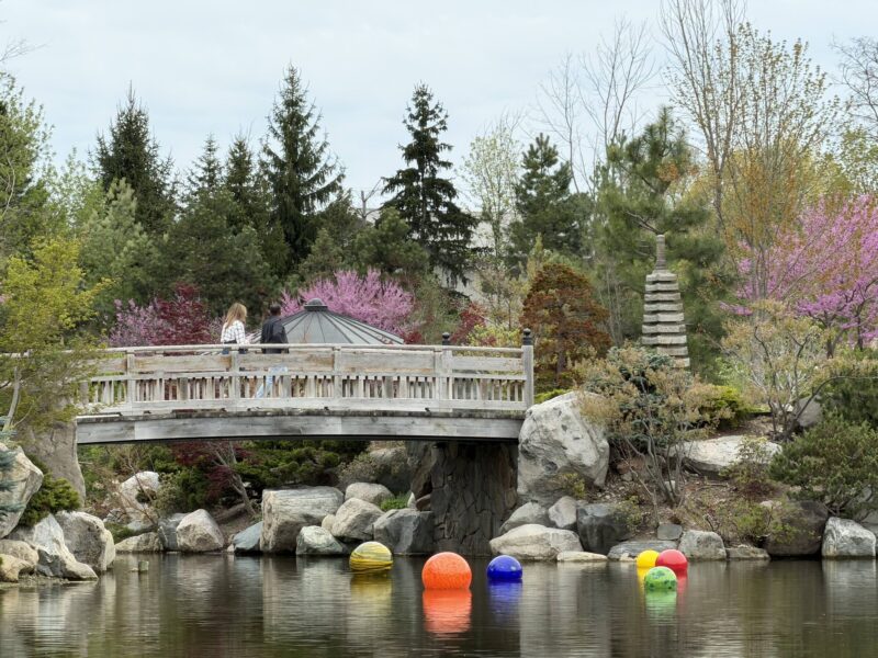 Dale Chihuly Meijer Gardens Japanese Garden Kate Overbeek