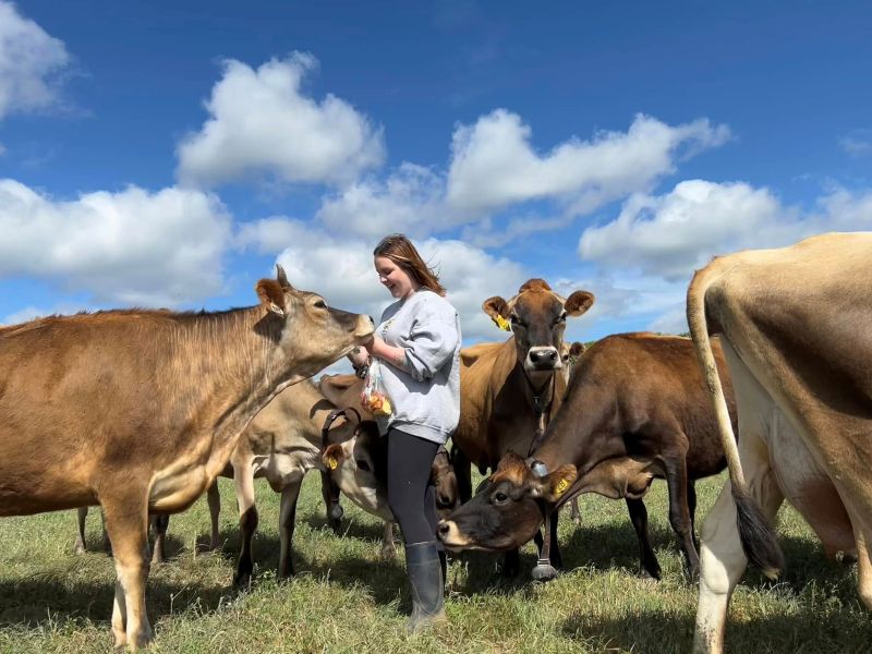 De Vor Dairy Farm & Creamery Cow Cuddles - FB