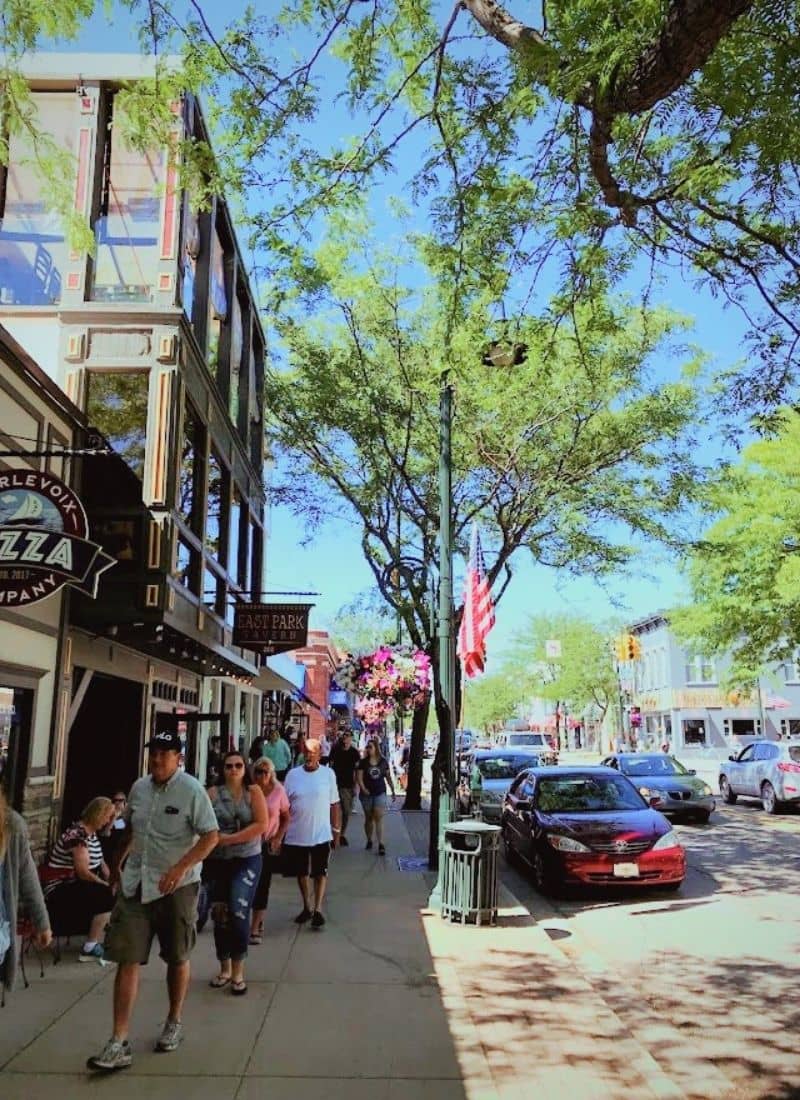 Downtown Charlevoix MI VanderWeide