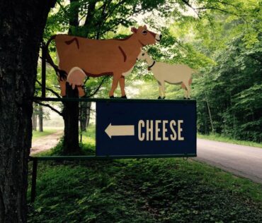Evergreen Lane Creamery Road Sign - FB