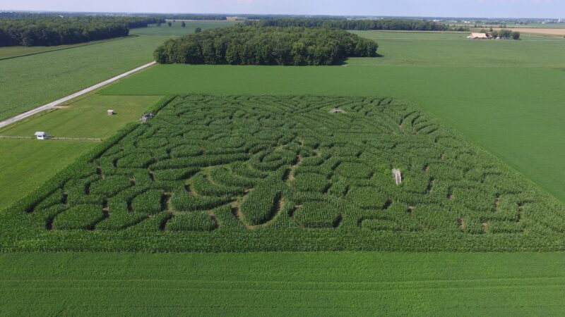 Frankenmuth Corn Maze At Weiss Centennial Farm - FB
