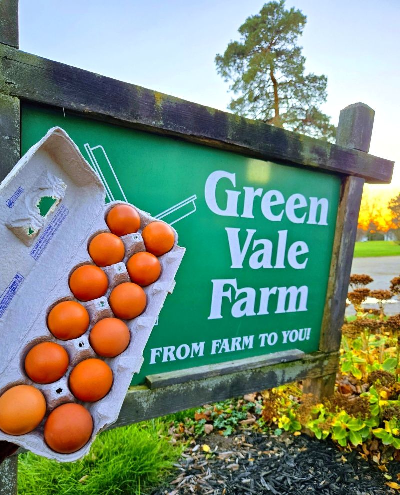 Green Vale Farm Eggs and Sign - FB