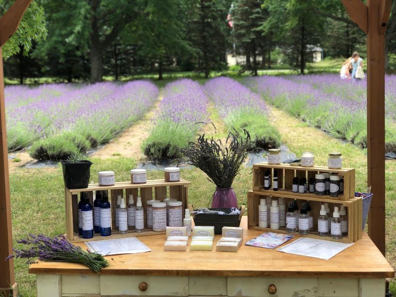 HIckory Creek Lavender Farm Michigan