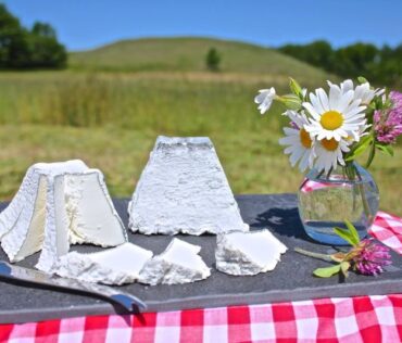 Idyll Farms Mont Idyll Goat Cheese - FB