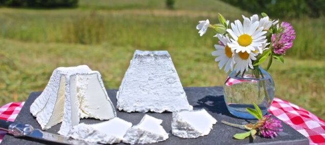 Idyll Farms Mont Idyll Goat Cheese - FB