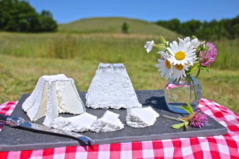 Idyll Farms Mont Idyll Goat Cheese - FB