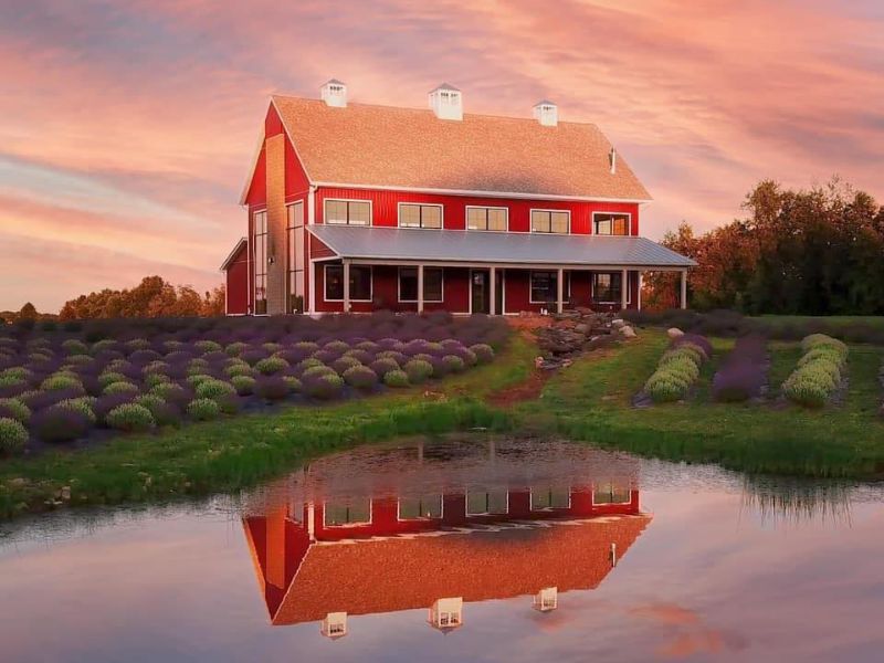 Lavender Life Company
