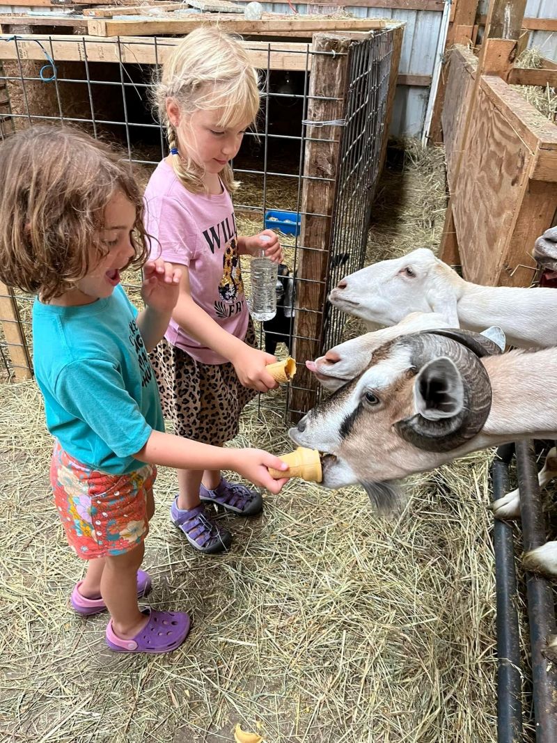 Maple Leaf Farm kids and cones - FB