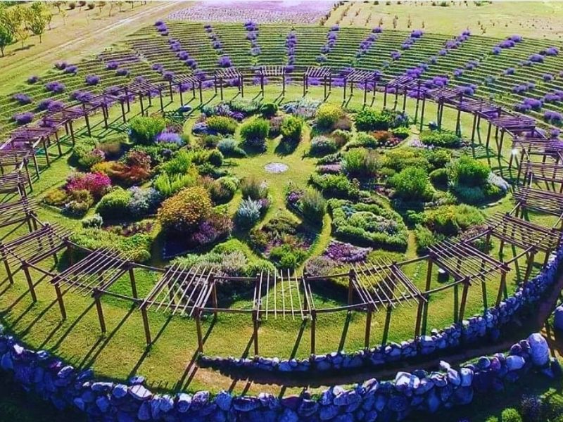 Michigan Lavender Farms Labyrinths