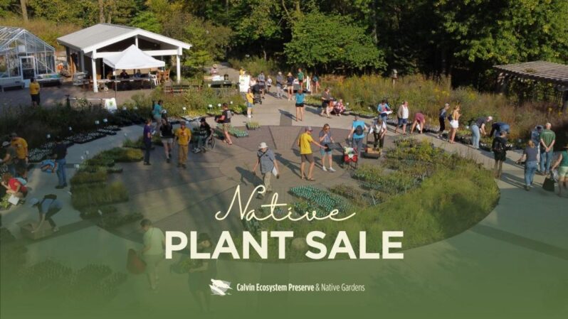 Native Plant Sale Calvin University