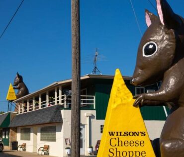 Wilsons Cheese Shop