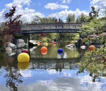 Chihuly Glass Japanese Gardens Fmg Vanderweide