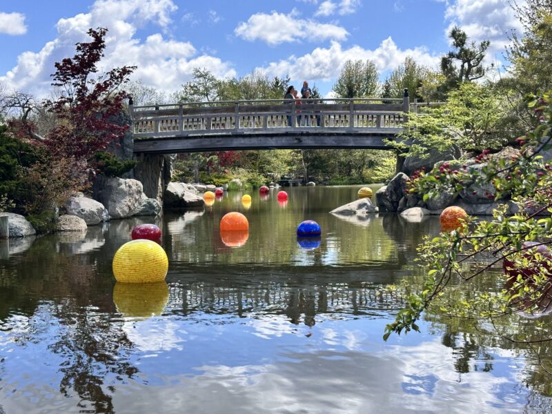 Chihuly Glass Japanese Gardens Fmg Vanderweide