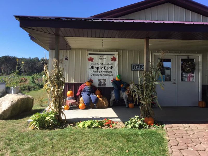 maple leaf farm fall - FB