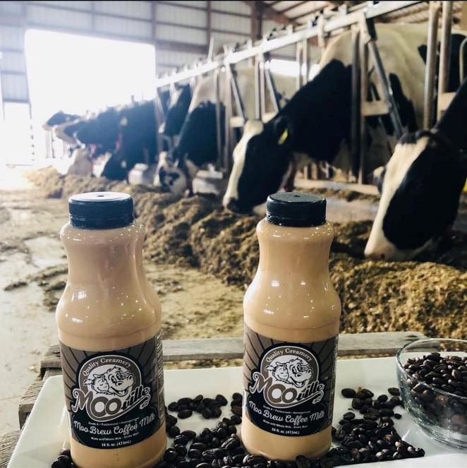 moo-ville nashville chocolate milk and cows - FB