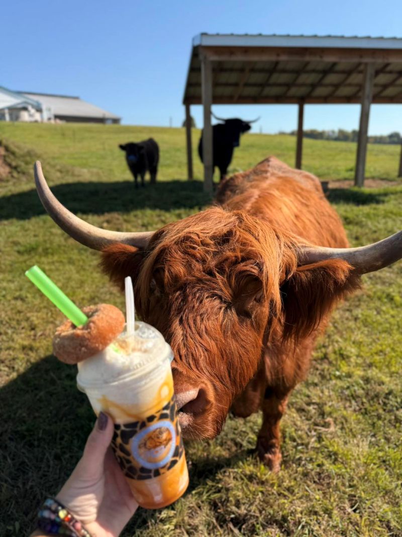 MOO-ville Creamery
