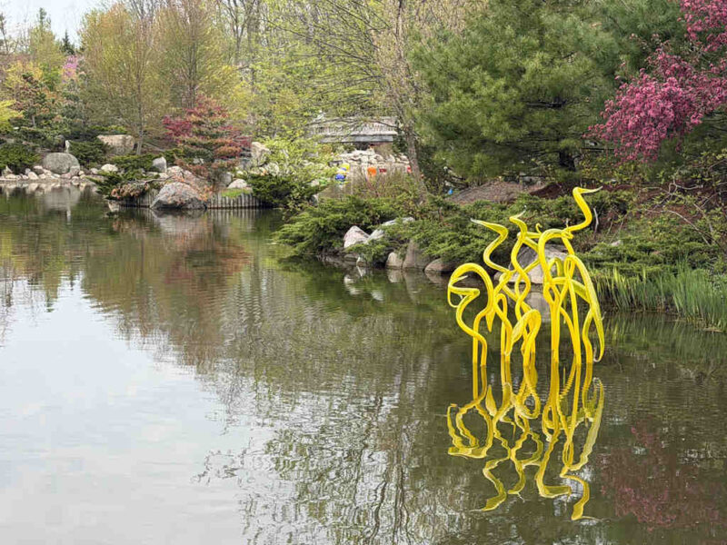 Dale Chihuly, Yellow Herons, Meijer Gardens 2026, photo by Kate Overbeek