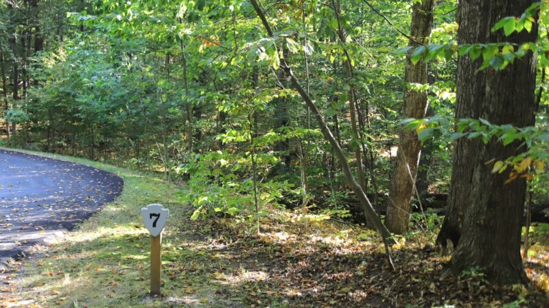 Beech Maple Forest Pierce Stocking Scenic Drive Website