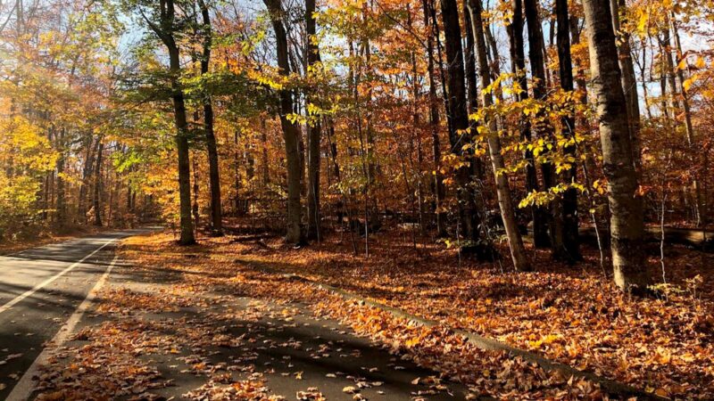 Changes In Time Pierce Stocking Scenic Drive Website