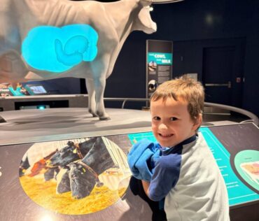 Farm Wisconsin Discovery Center Fb