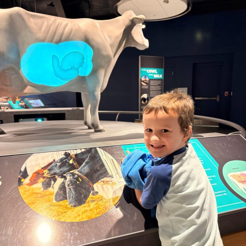 Farm Wisconsin Discovery Center Fb