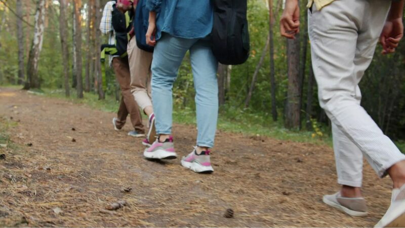 Hike With A Naturalist Blandford Nature Center