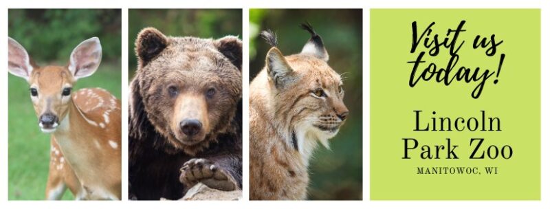Manitowoc Lincoln Park Zoo Banner FB