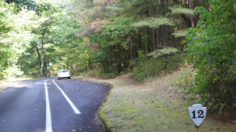 Pine Plantation Pierce Stocking Scenic Drive Website