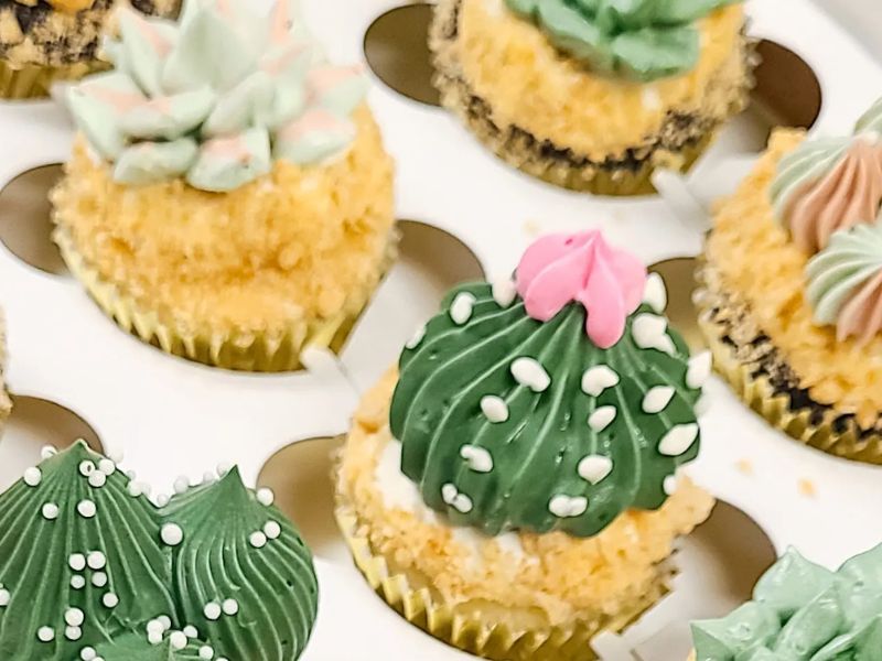 Sweet Details GR Succulent Cupcake Class Eventbrite