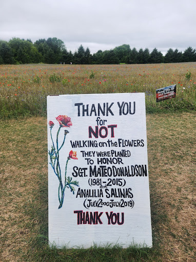 Don't Pick the Poppies 📷: Pleasant Hill Farm Facebook