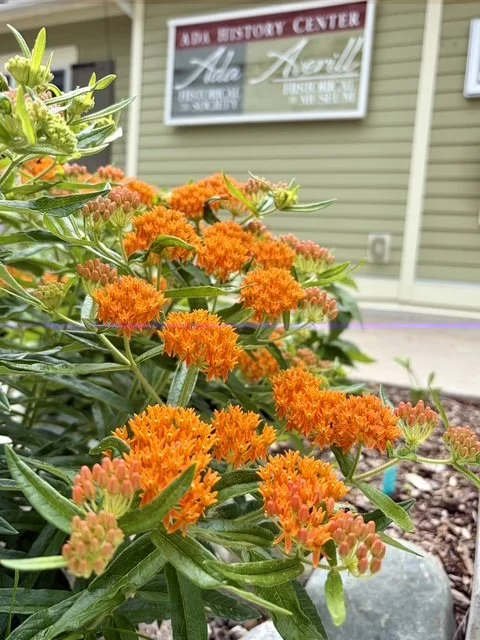 Ada Historical Society Garden Event Webpage