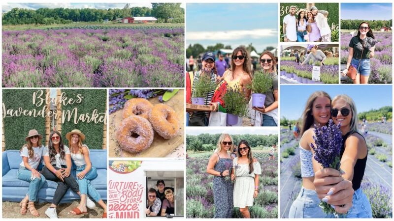 Blakes Orchard Lavender Festival Facebook
