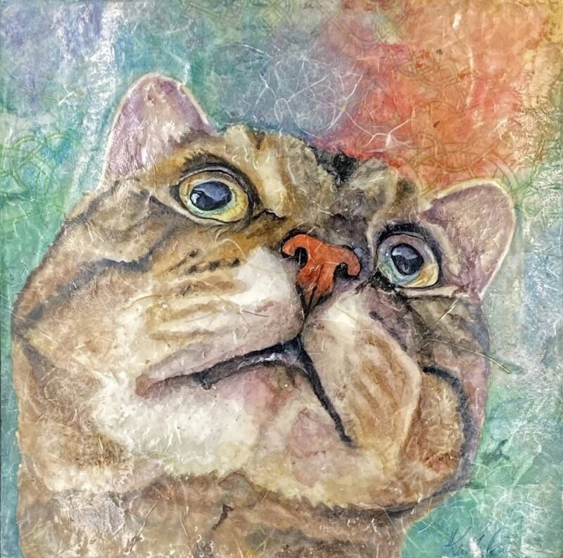 Cocoon Art Space Caturday Facebook