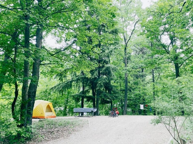 DH Day Campground Sleeping Bear Dunes